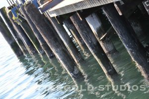 Seattle_socialmedia-38