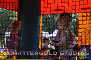 chattergoldstudiosqueenanne-3