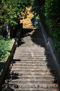 chattergoldstudios-1-3