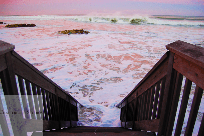 Donate & Decorate! Proceeds Go to Hurricane Dorian&nbsp;Relief